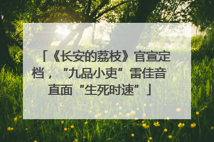 《长安的荔枝》官宣定档，“九品小吏”雷佳音直面“生死时速”