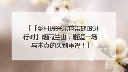 「乡村振兴示范带建设进行时」烟雨兰山：邂逅一场与本真的久别重逢！