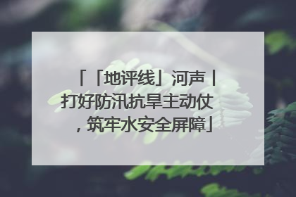 「地评线」河声丨打好防汛抗旱主动仗，筑牢水安全屏障