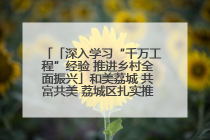 「深入学习“千万工程”经验 推进乡村全面振兴」和美荔城 共富共美 荔城区扎实推进乡村振兴工作