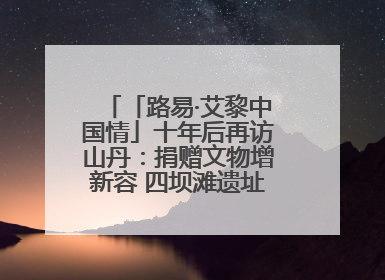 「路易·艾黎中国情」十年后再访山丹：捐赠文物增新容 四坝滩遗址诉说历史沧桑
