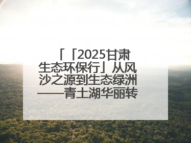 「2025甘肃生态环保行」从风沙之源到生态绿洲——青土湖华丽转身书写生态新篇