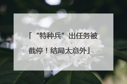 “特种兵”出任务被截停！结局太意外