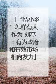 “特小乡”怎样有大作为 刘亭：有为政府和有效市场相向发力