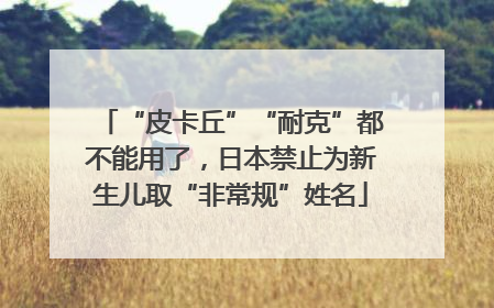“皮卡丘”“耐克”都不能用了，日本禁止为新生儿取“非常规”姓名
