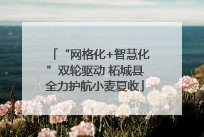 “网格化+智慧化”双轮驱动 柘城县全力护航小麦夏收