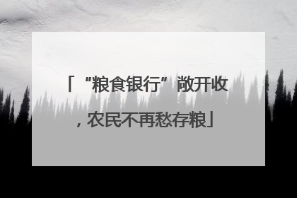 “粮食银行”敞开收，农民不再愁存粮