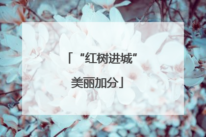 “红树进城” 美丽加分