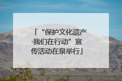 “保护文化遗产·我们在行动”宣传活动在泉举行
