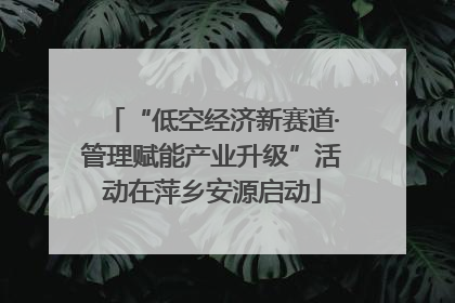 “低空经济新赛道·管理赋能产业升级”活动在萍乡安源启动