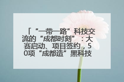“一带一路”科技交流的“成都时刻”：大赛启动、项目签约，50项“成都造”黑科技吸引多国客商
