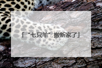“七只羊”搬新家了