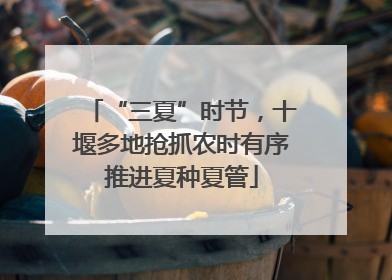 “三夏”时节，十堰多地抢抓农时有序推进夏种夏管