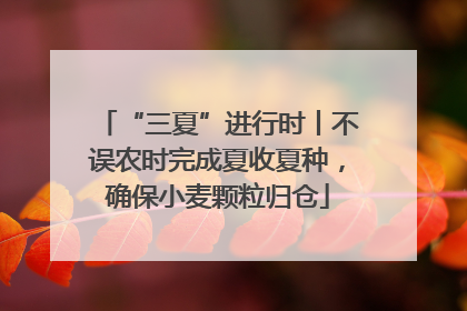 “三夏”进行时丨不误农时完成夏收夏种，确保小麦颗粒归仓