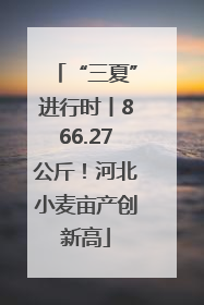 “三夏”进行时丨866.27公斤！河北小麦亩产创新高