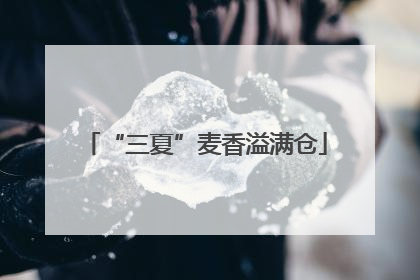 “三夏”麦香溢满仓