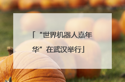 “世界机器人嘉年华”在武汉举行