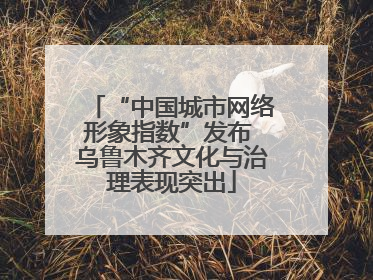 “中国城市网络形象指数”发布 乌鲁木齐文化与治理表现突出