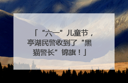 “六一”儿童节，亭湖民警收到了“黑猫警长”锦旗！