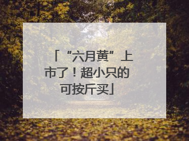 “六月黄”上市了！超小只的可按斤买