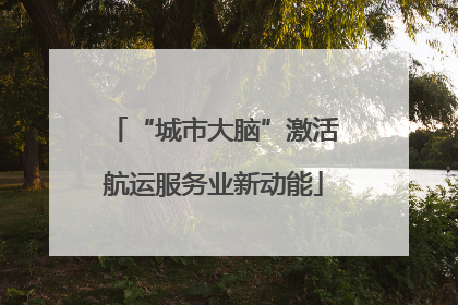 “城市大脑”激活航运服务业新动能