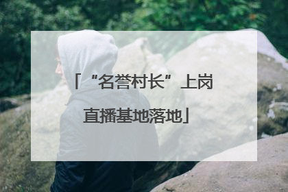“名誉村长”上岗 直播基地落地