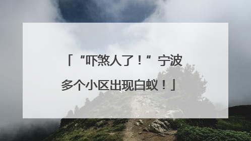 “吓煞人了！”宁波多个小区出现白蚁！