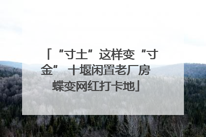 “寸土”这样变“寸金” 十堰闲置老厂房蝶变网红打卡地