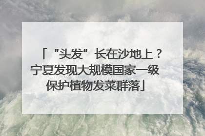“头发”长在沙地上？宁夏发现大规模国家一级保护植物发菜群落