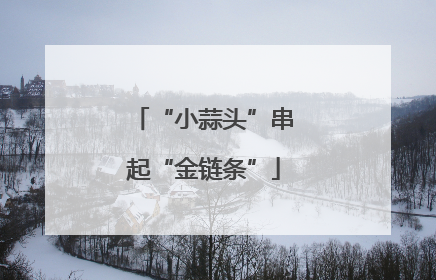 “小蒜头”串起“金链条”