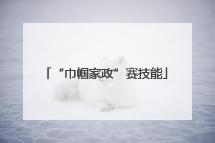 “巾帼家政”赛技能