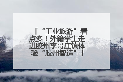 “工业旅游”看点多！外籍学生走进胶州李哥庄镇体验“胶州智造”