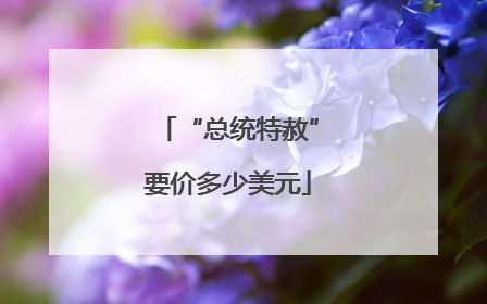 “总统特赦”要价多少美元
