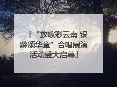 “放歌彩云南 银龄颂华章”合唱展演活动盛大启幕