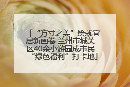 “方寸之美”绘就宜居新画卷 兰州市城关区40余小游园成市民“绿色福利”打卡地