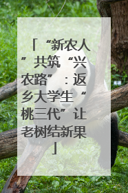 “新农人”共筑“兴农路”：返乡大学生“桃三代”让老树结新果
