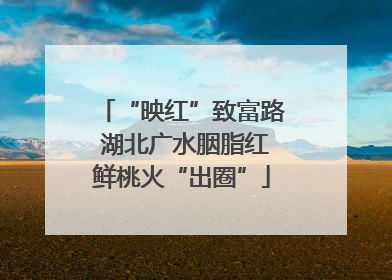 “映红”致富路 湖北广水胭脂红鲜桃火“出圈”