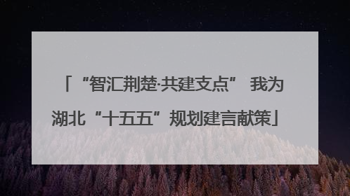 “智汇荆楚·共建支点” 我为湖北“十五五”规划建言献策