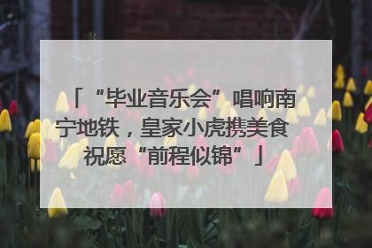 “毕业音乐会”唱响南宁地铁，皇家小虎携美食祝愿“前程似锦”