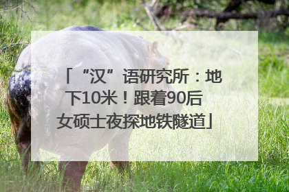 “汉”语研究所：地下10米！跟着90后女硕士夜探地铁隧道