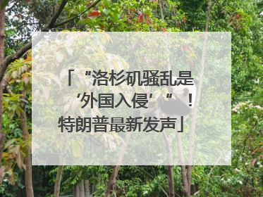 “洛杉矶骚乱是‘外国入侵’”！特朗普最新发声