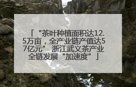 “茶叶种植面积达12.5万亩，全产业链产值达57亿元” 浙江武义茶产业全链发展“加速度”