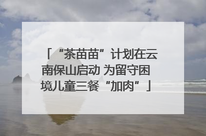 “茶苗苗”计划在云南保山启动 为留守困境儿童三餐“加肉”