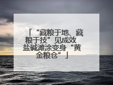 “藏粮于地、藏粮于技”见成效 盐碱滩涂变身“黄金粮仓”