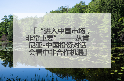 “进入中国市场，非常重要”——从肯尼亚-中国投资对话会看中非合作机遇