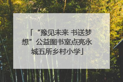 “豫见未来 书送梦想”公益图书室点亮永城五所乡村小学