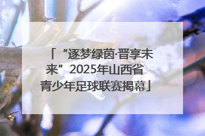 “逐梦绿茵·晋享未来”2025年山西省青少年足球联赛揭幕