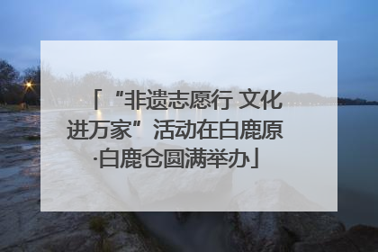 “非遗志愿行 文化进万家”活动在白鹿原·白鹿仓圆满举办