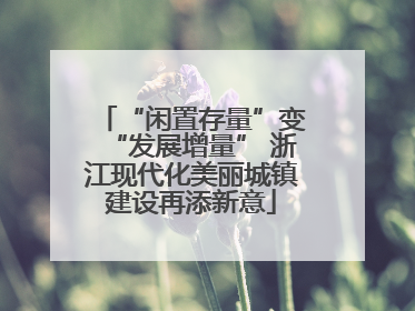 “闲置存量”变“发展增量” 浙江现代化美丽城镇建设再添新意