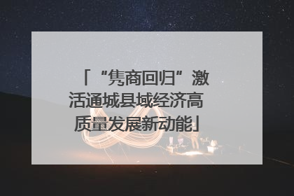 “隽商回归”激活通城县域经济高质量发展新动能